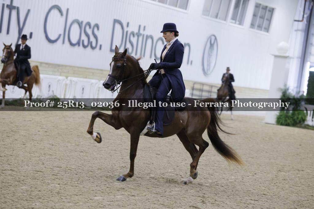 Proof 25R13_02036