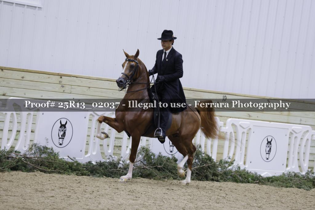 Proof 25R13_02037