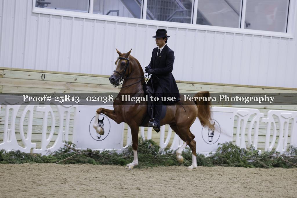 Proof 25R13_02038