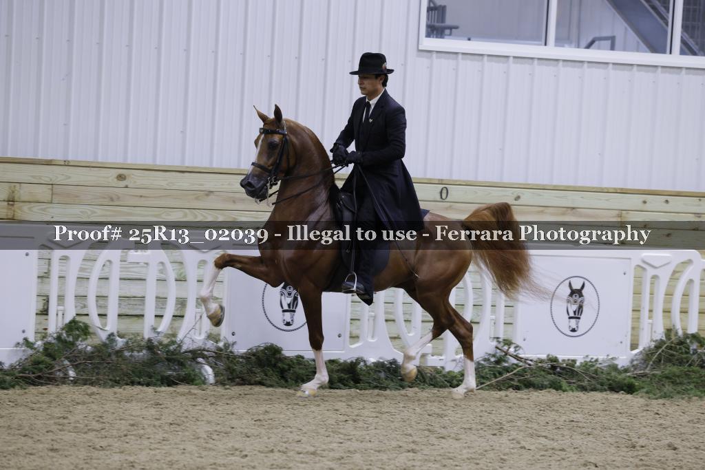 Proof 25R13_02039