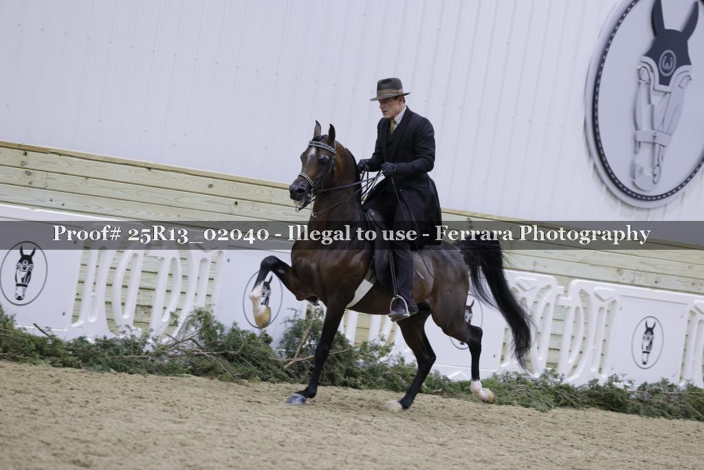 Proof 25R13_02040