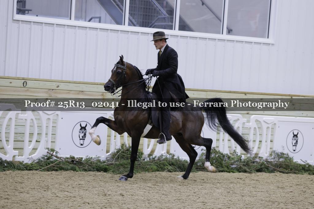 Proof 25R13_02041