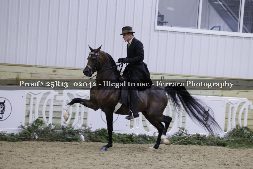 Proof 25R13_02042