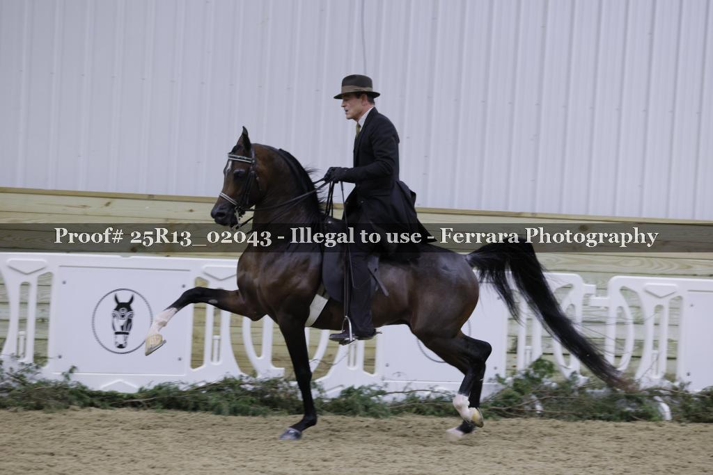 Proof 25R13_02043