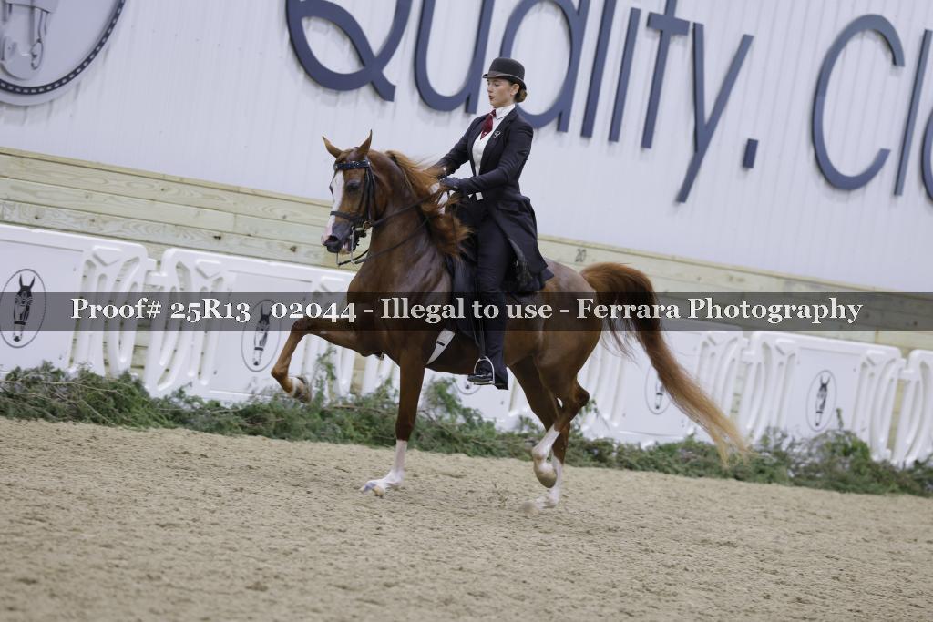 Proof 25R13_02044