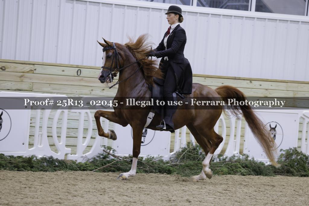 Proof 25R13_02045