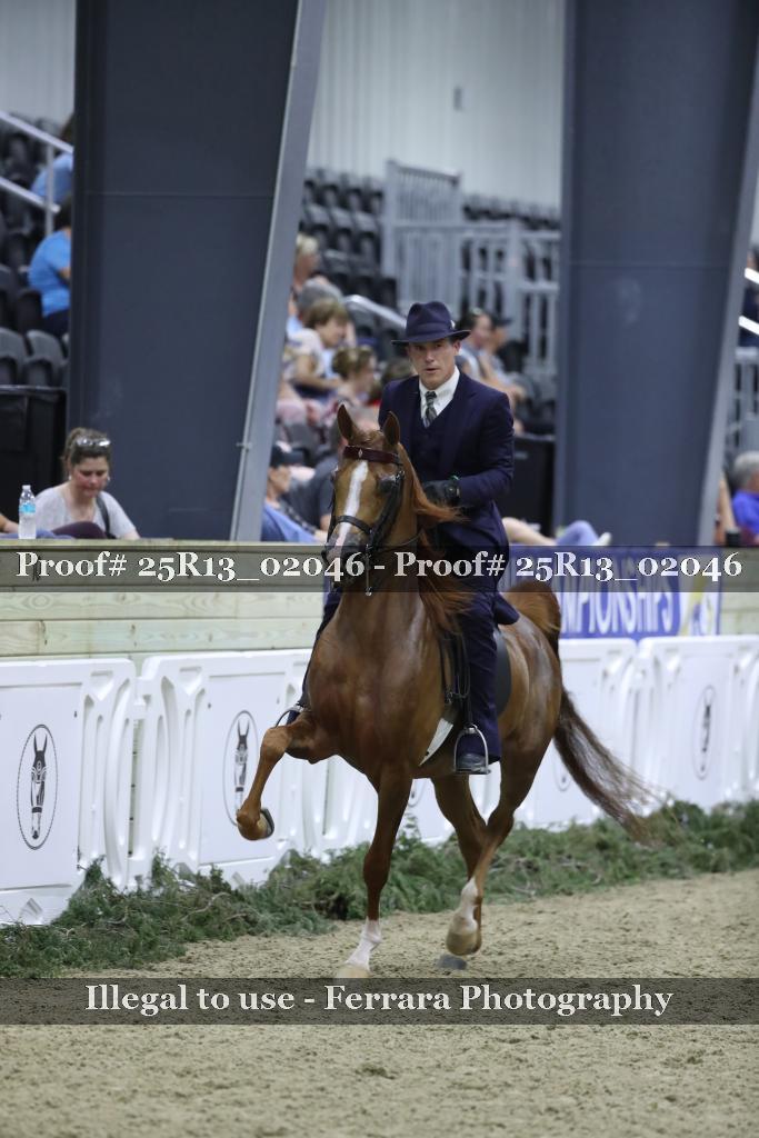 Proof 25R13_02046