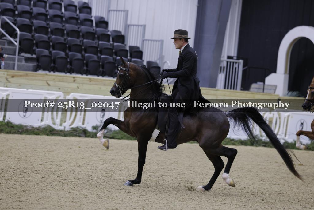 Proof 25R13_02047
