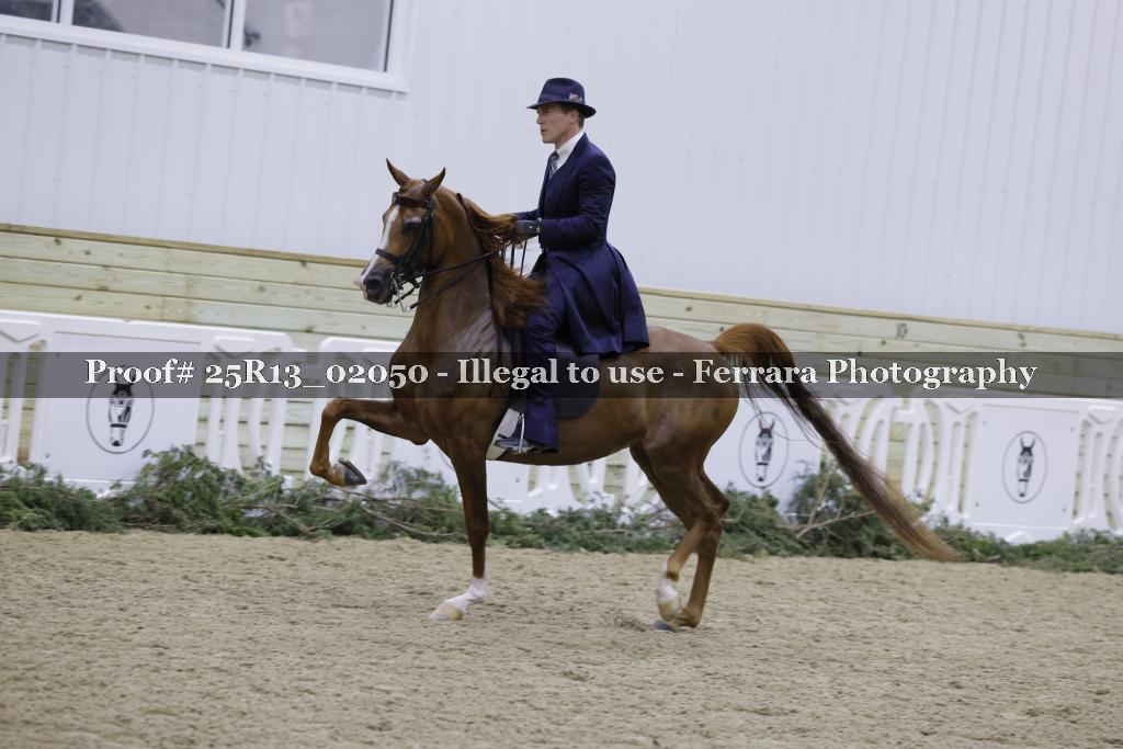 Proof 25R13_02050
