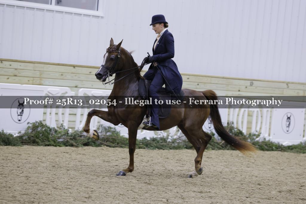 Proof 25R13_02054