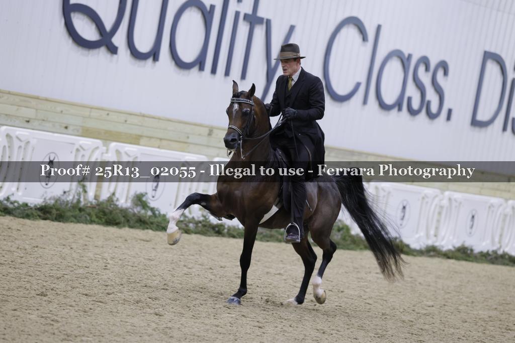 Proof 25R13_02055
