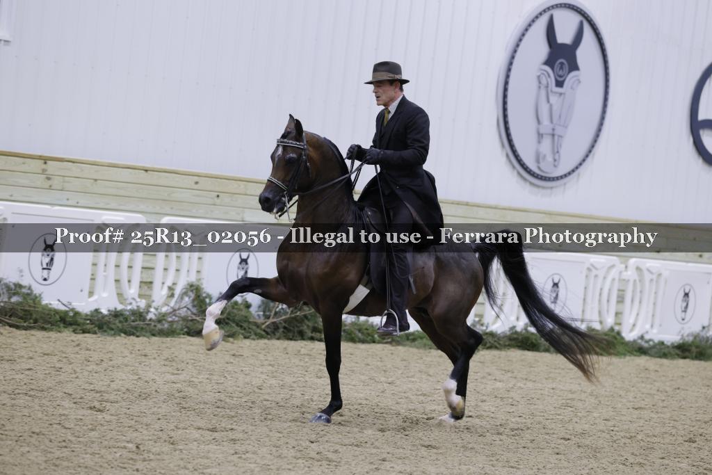 Proof 25R13_02056
