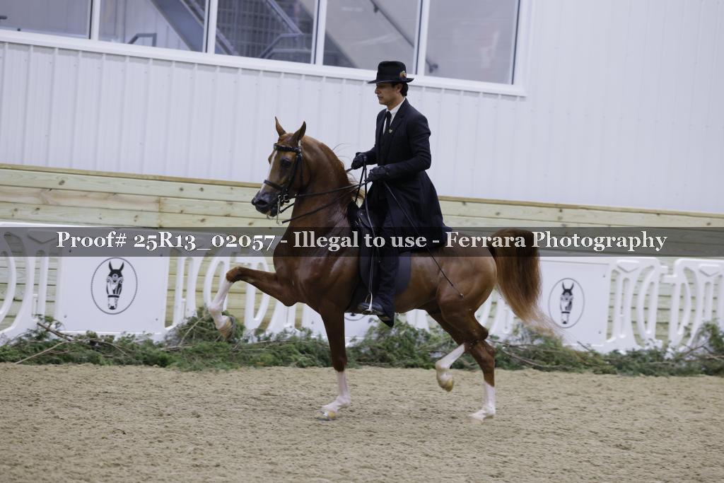 Proof 25R13_02057