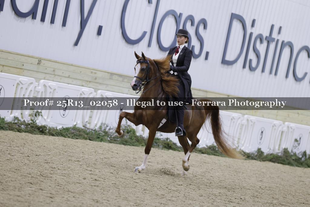 Proof 25R13_02058