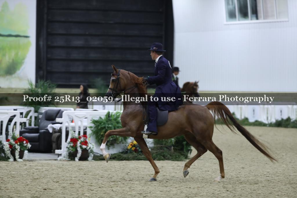 Proof 25R13_02059