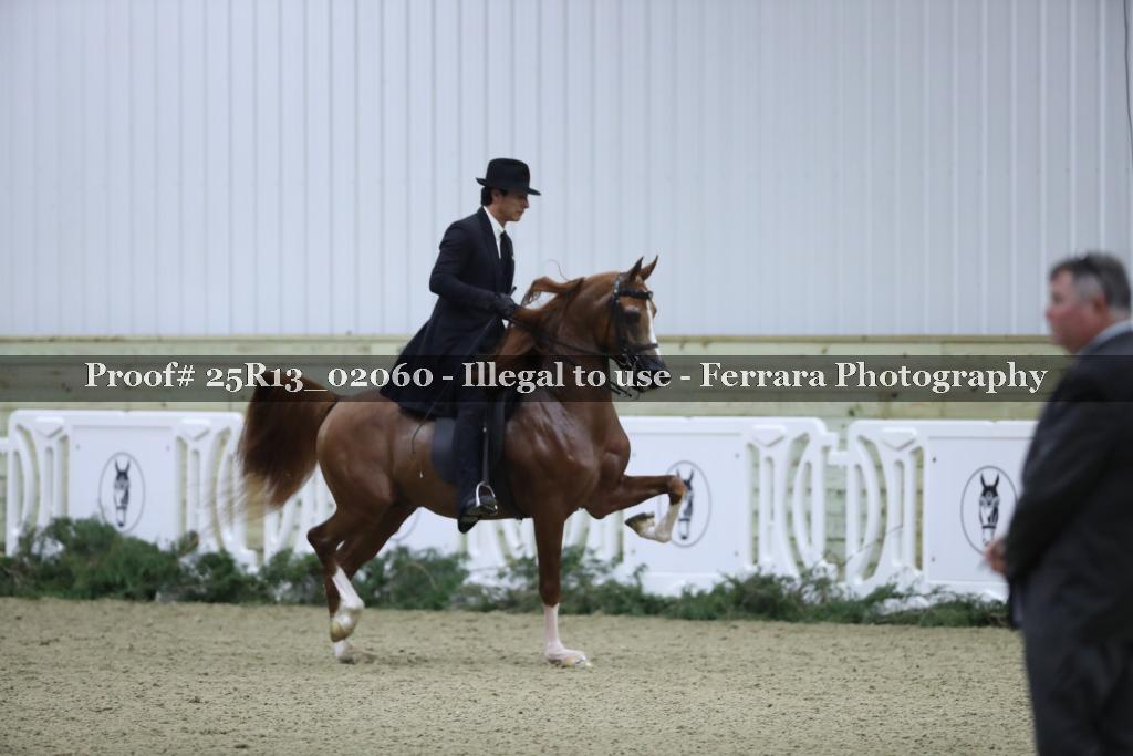 Proof 25R13_02060