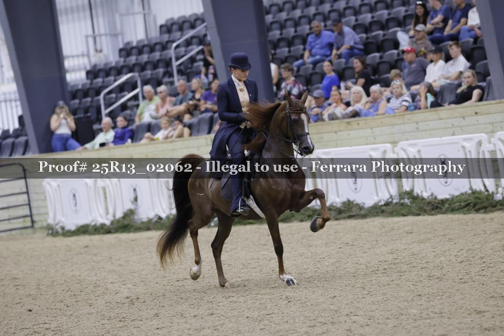 Proof 25R13_02062