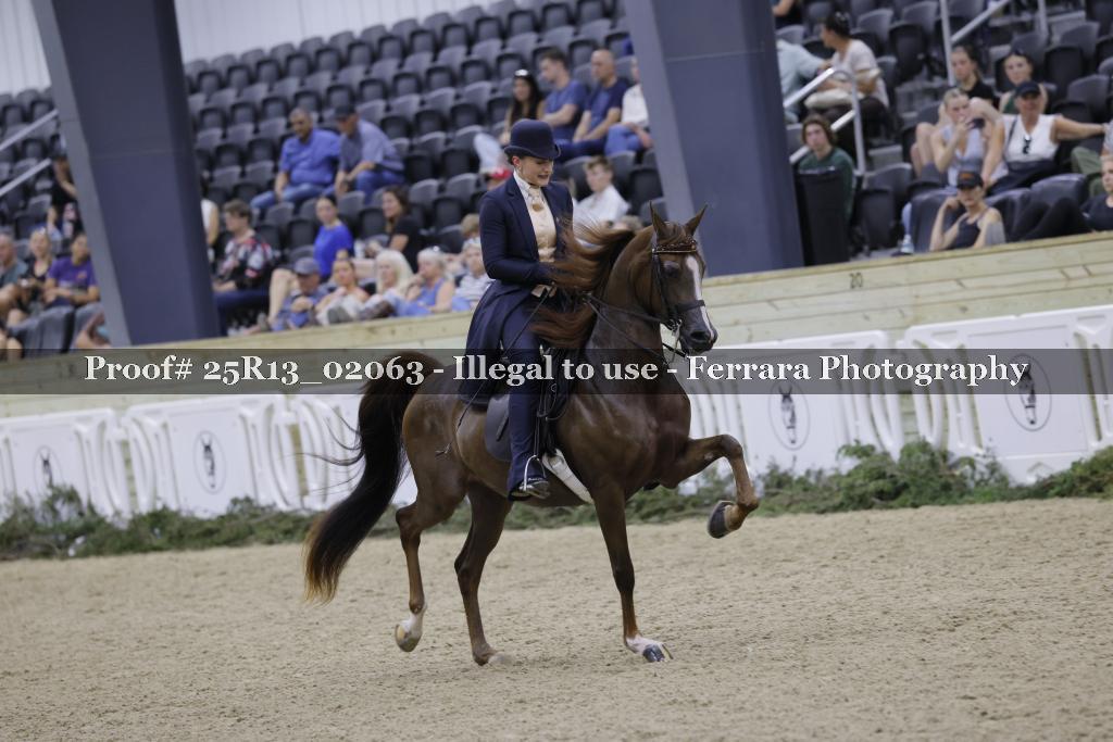 Proof 25R13_02063