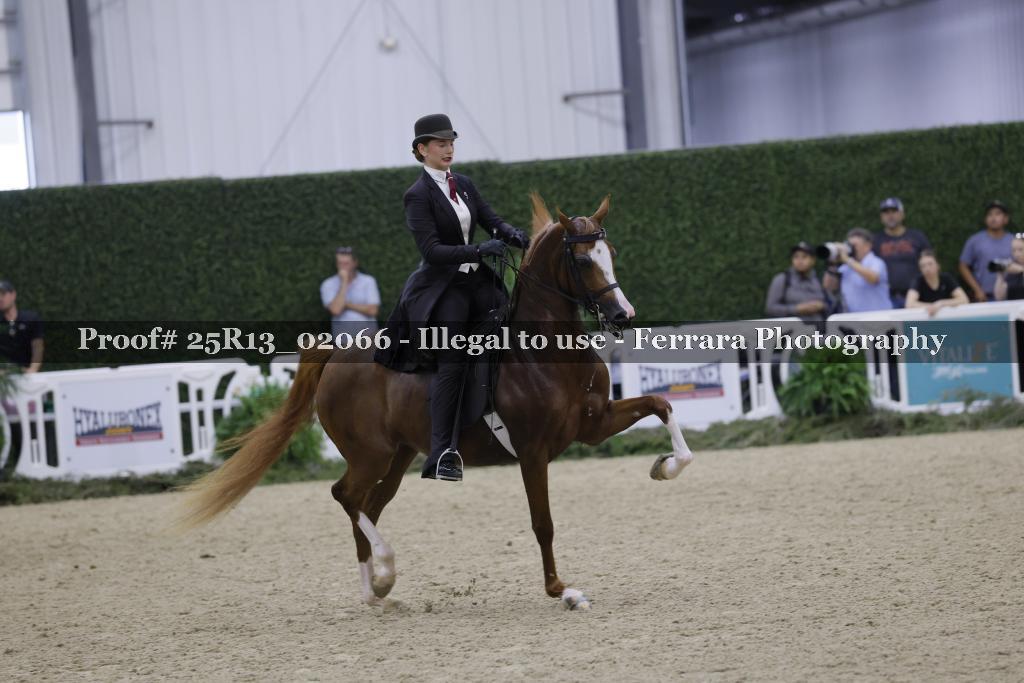 Proof 25R13_02066