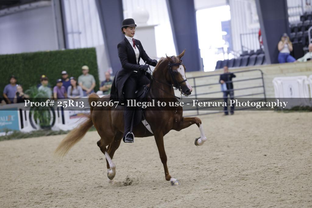 Proof 25R13_02067