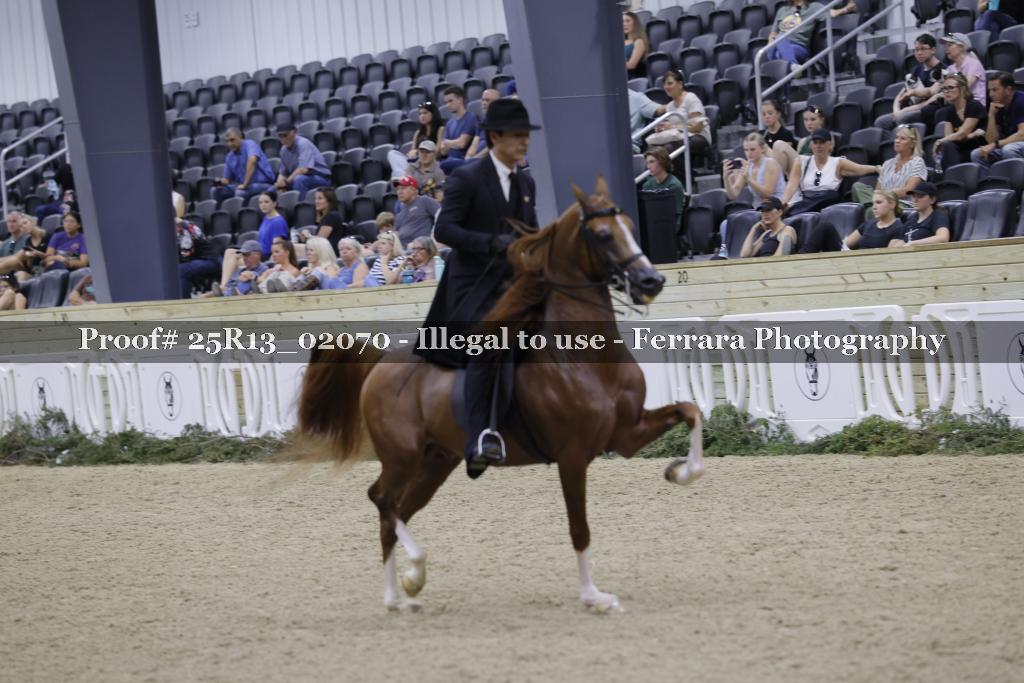Proof 25R13_02070