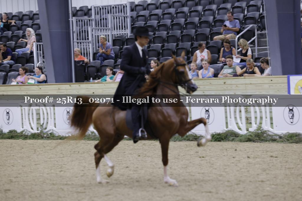 Proof 25R13_02071