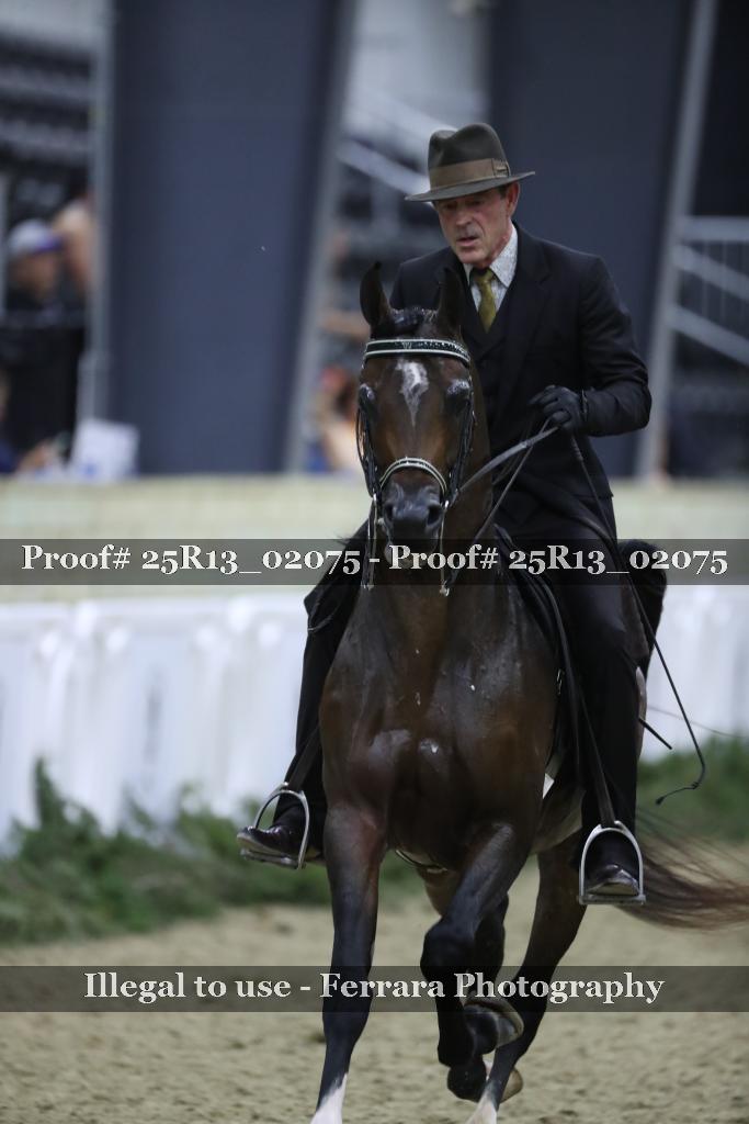 Proof 25R13_02075
