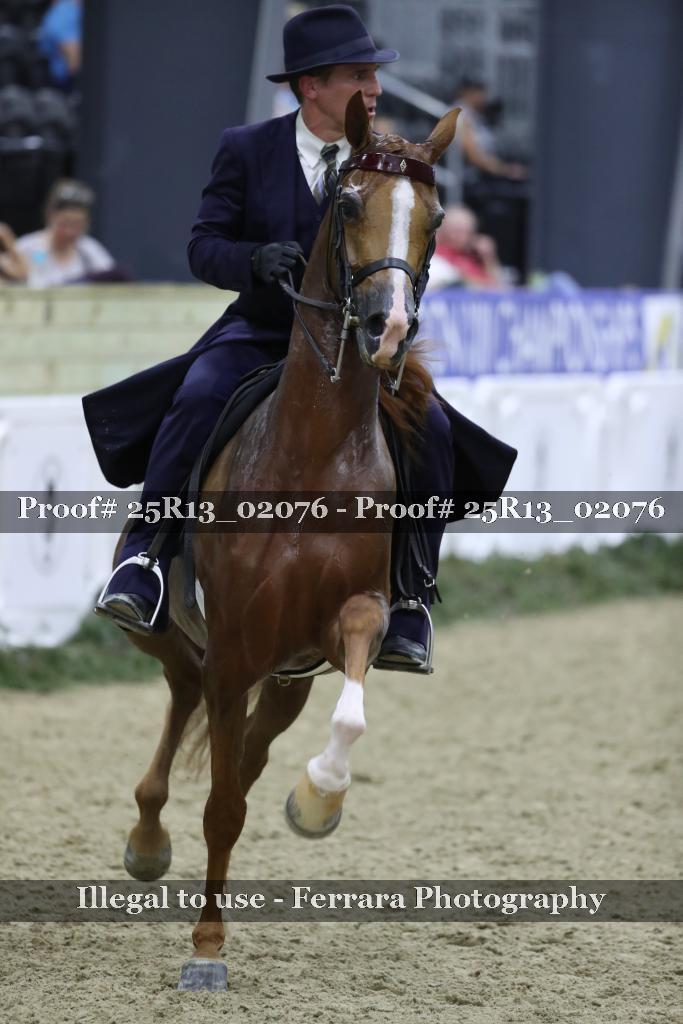 Proof 25R13_02076