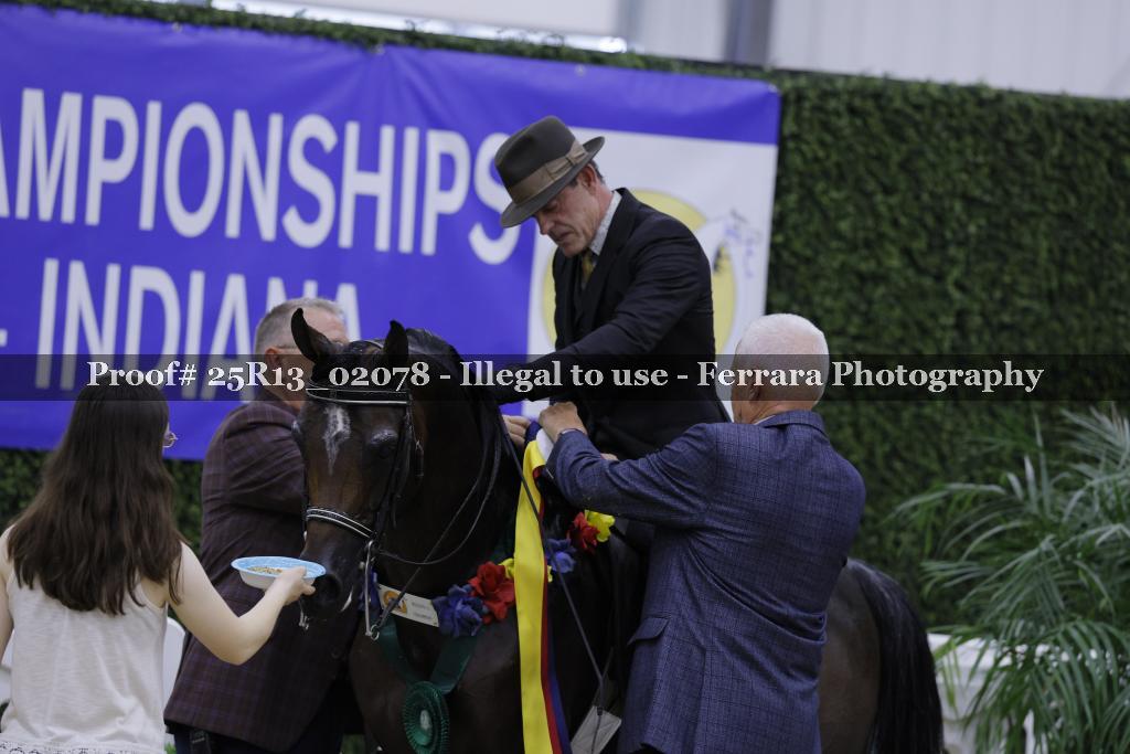 Proof 25R13_02078