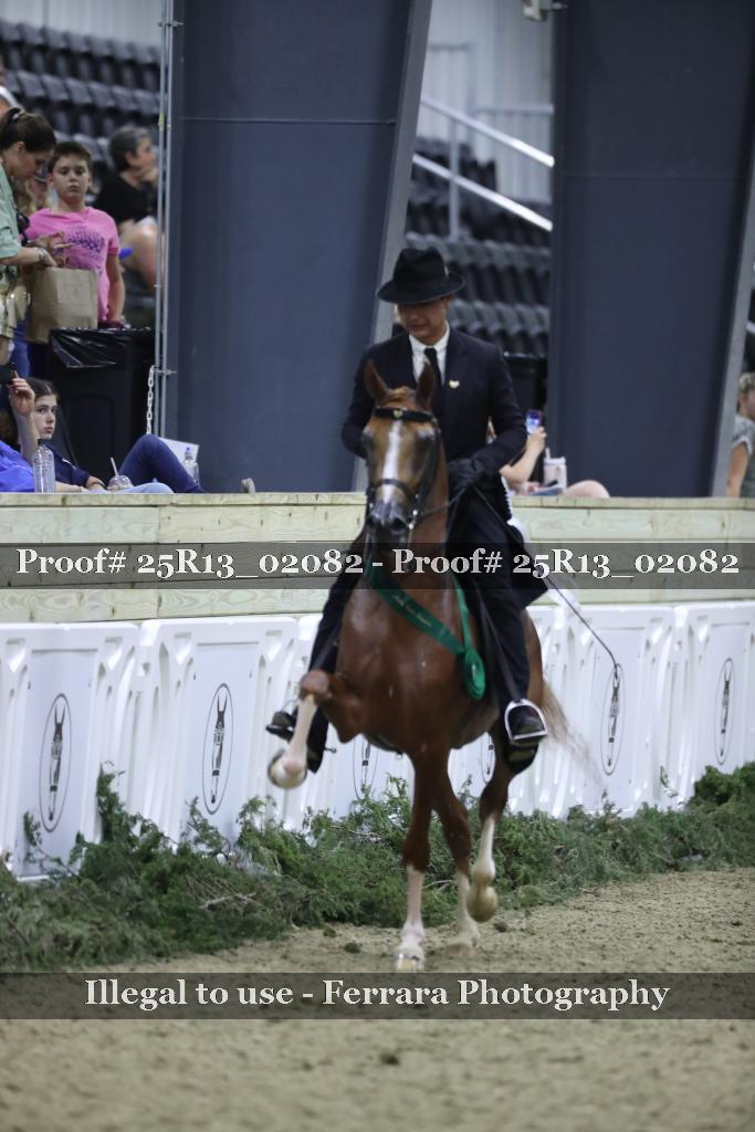 Proof 25R13_02082