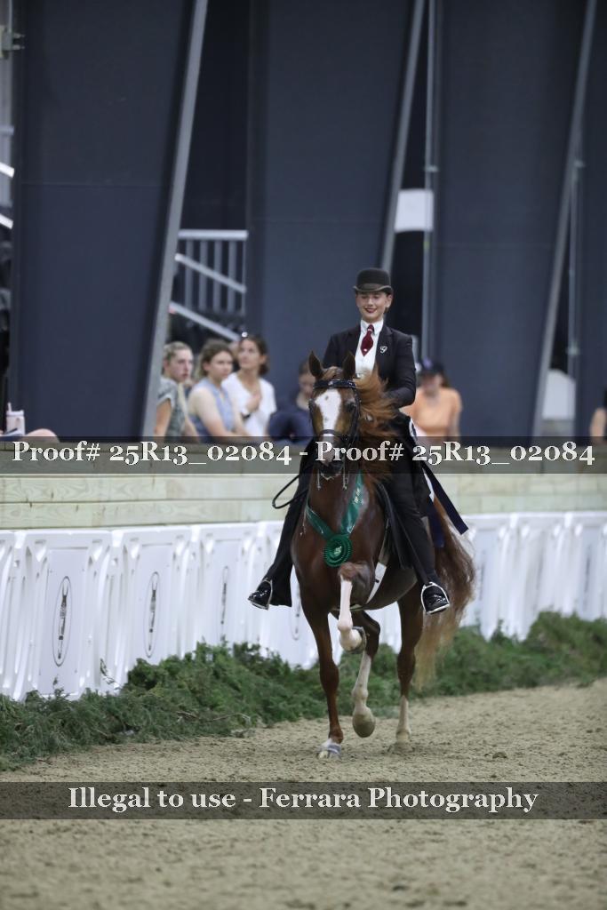 Proof 25R13_02084