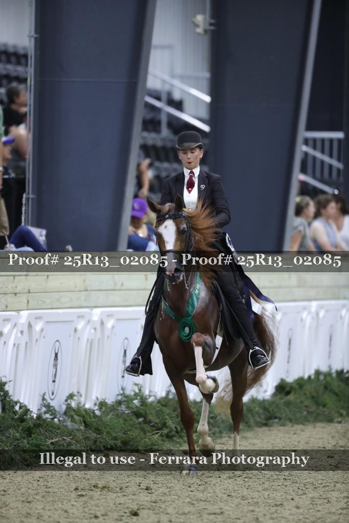 Proof 25R13_02085