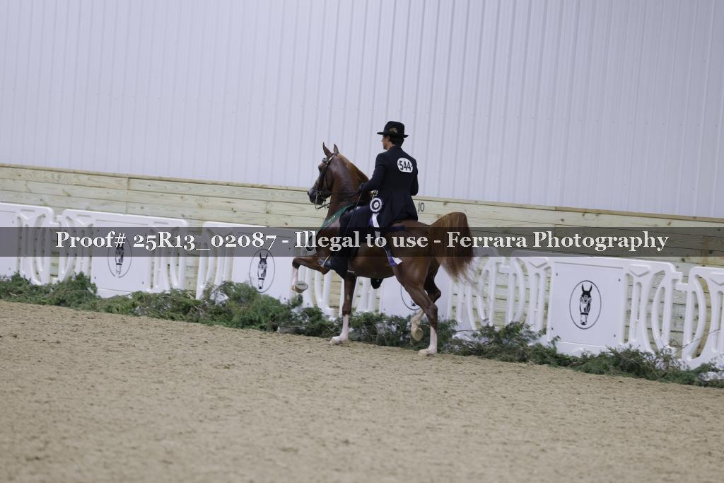 Proof 25R13_02087