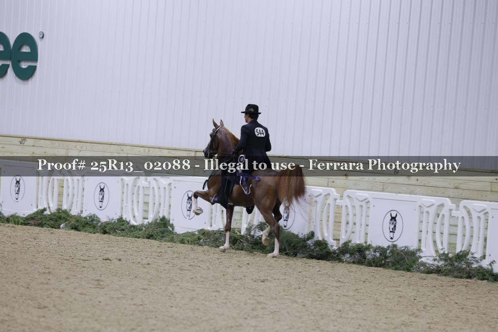 Proof 25R13_02088