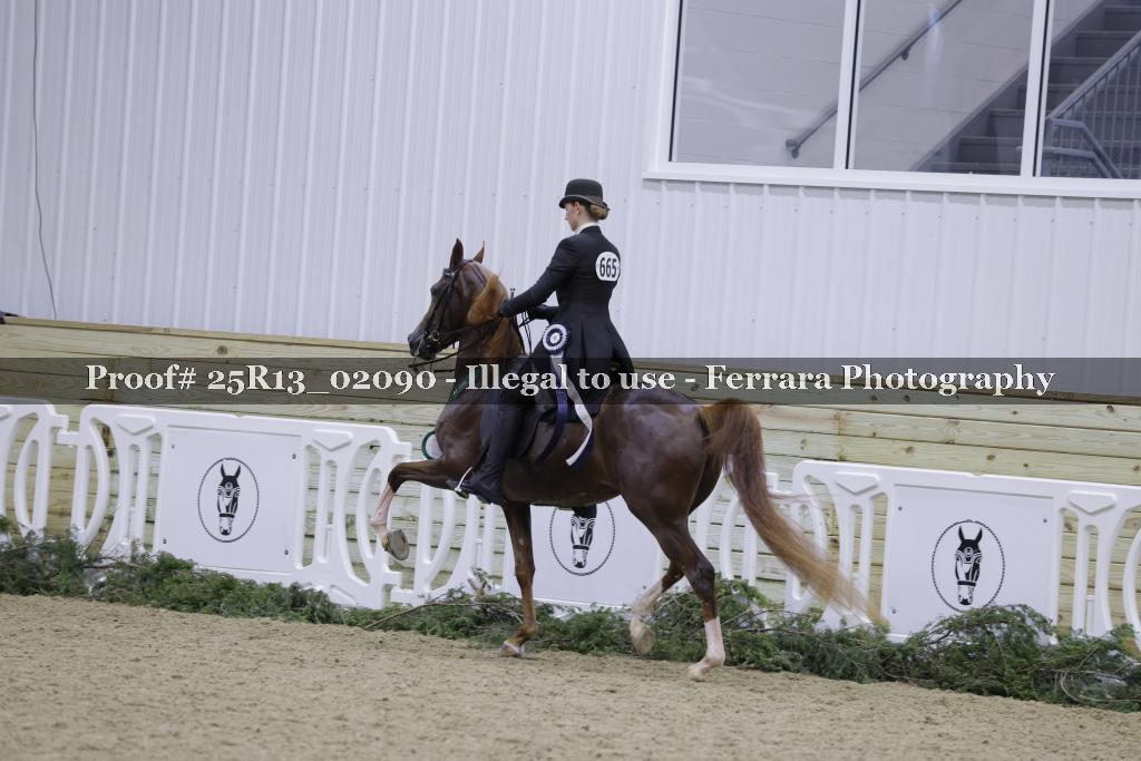 Proof 25R13_02090
