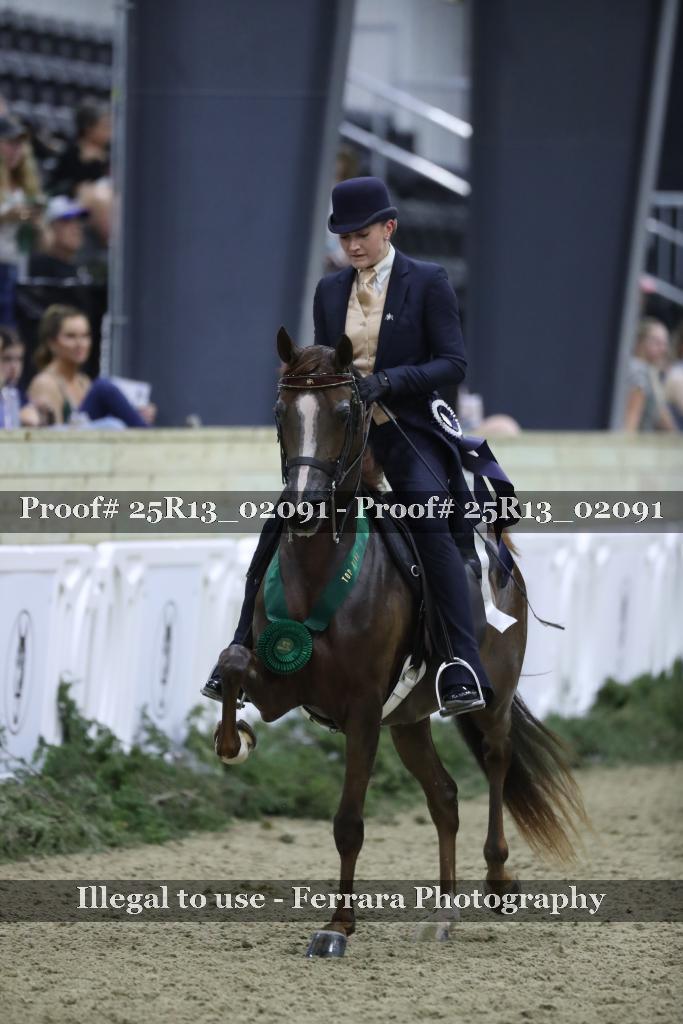 Proof 25R13_02091