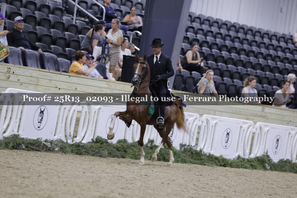 Proof 25R13_02093