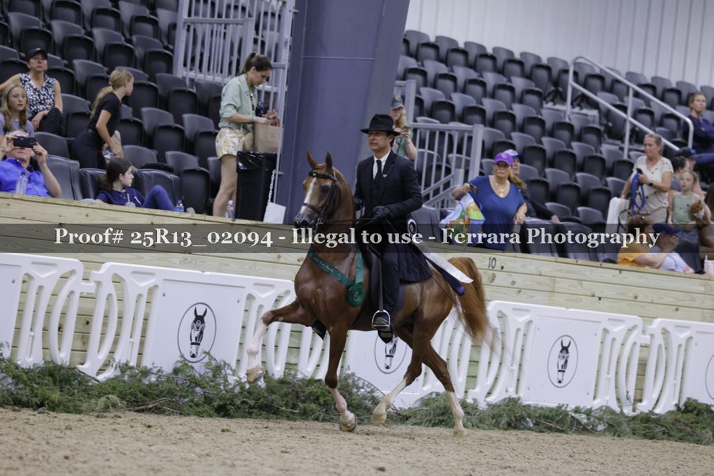 Proof 25R13_02094