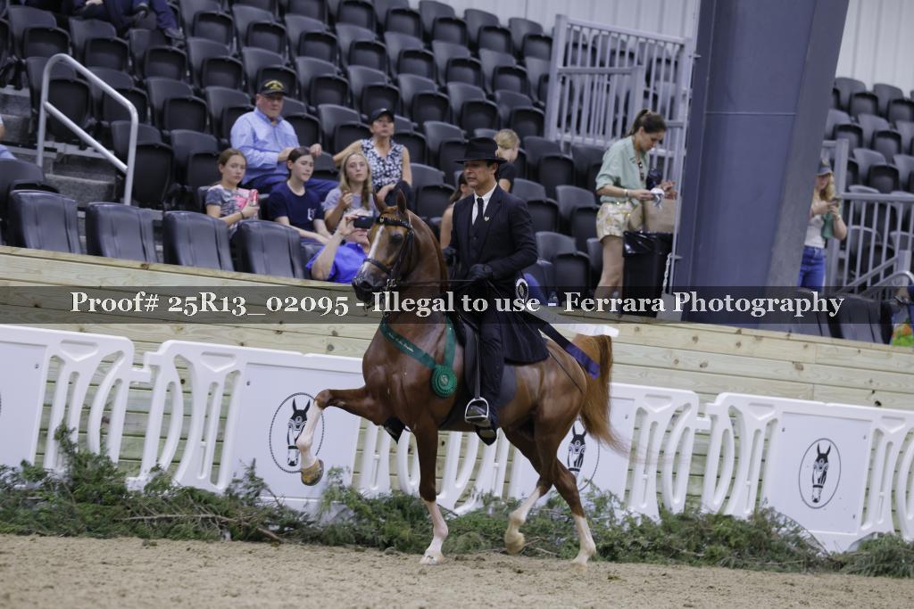 Proof 25R13_02095