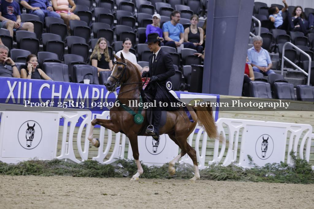 Proof 25R13_02096