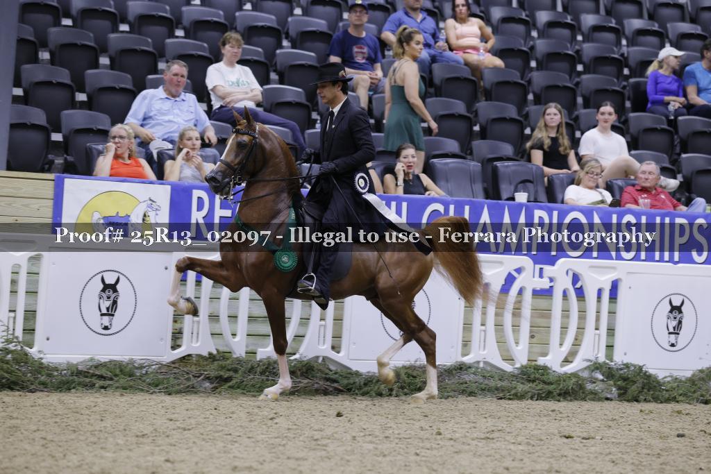 Proof 25R13_02097