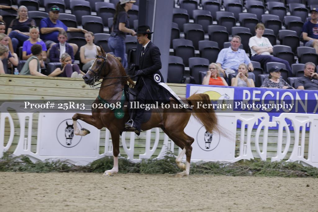 Proof 25R13_02098