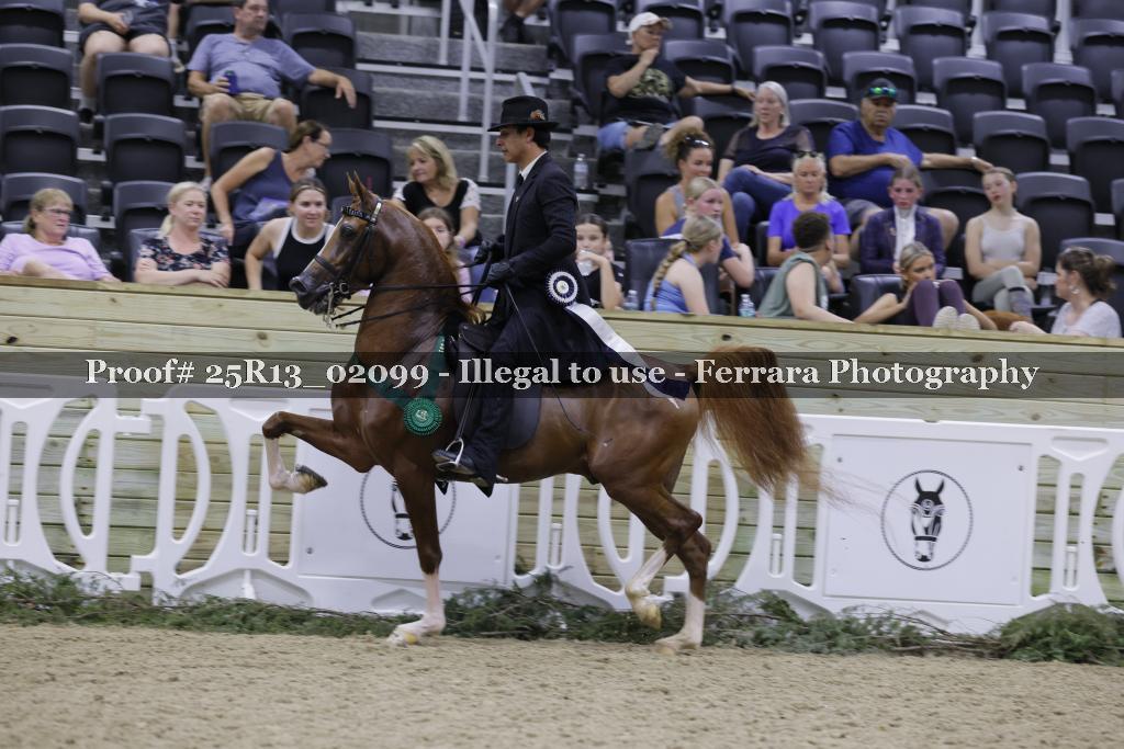 Proof 25R13_02099