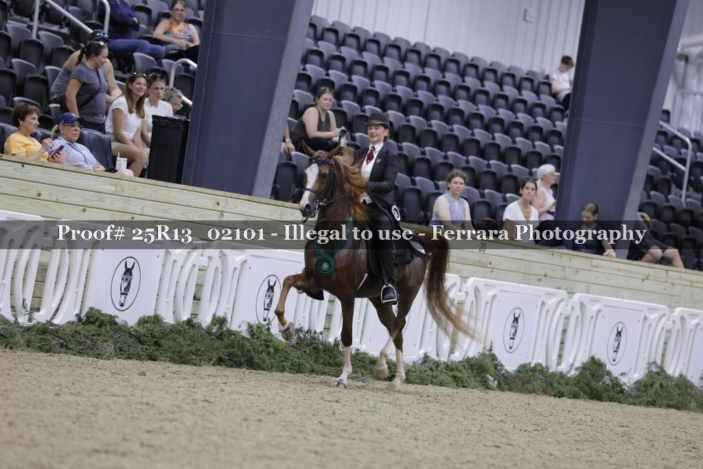 Proof 25R13_02101