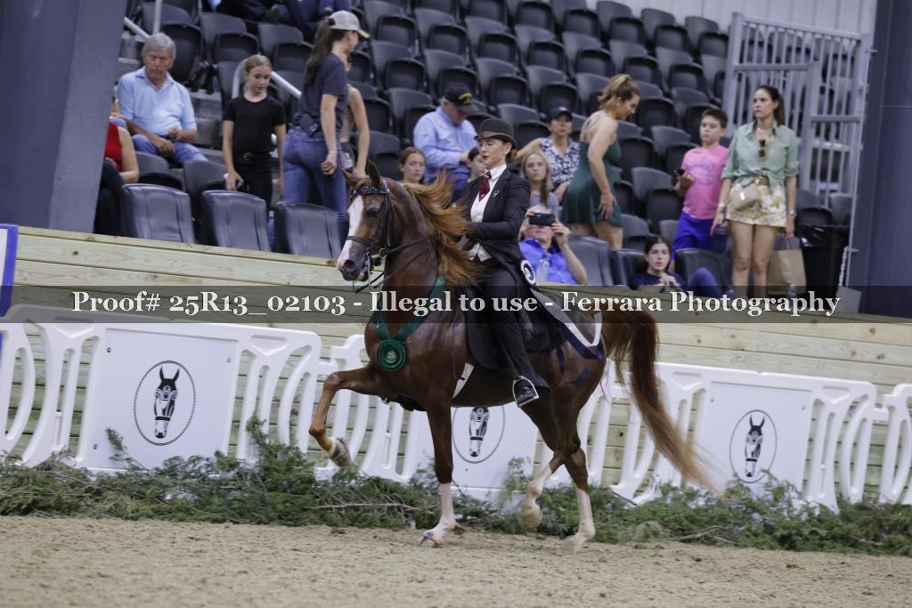 Proof 25R13_02103