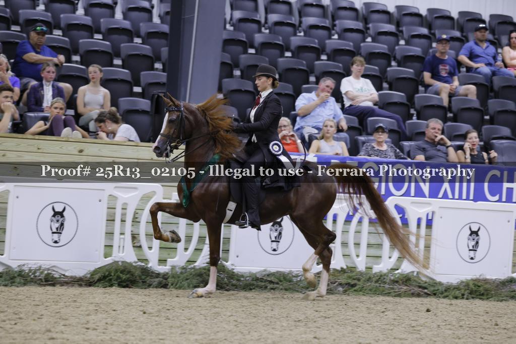 Proof 25R13_02105