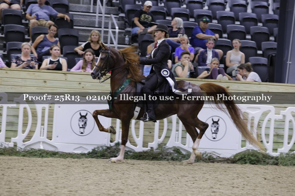 Proof 25R13_02106
