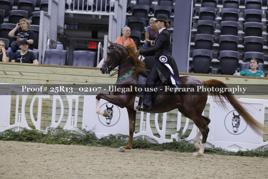 Proof 25R13_02107