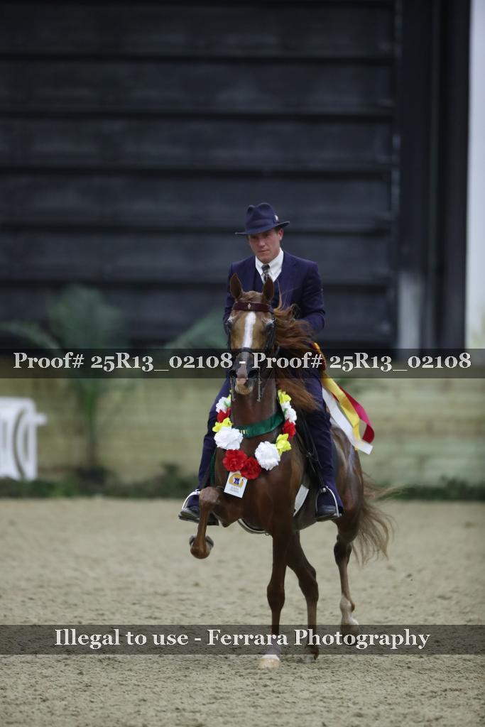 Proof 25R13_02108