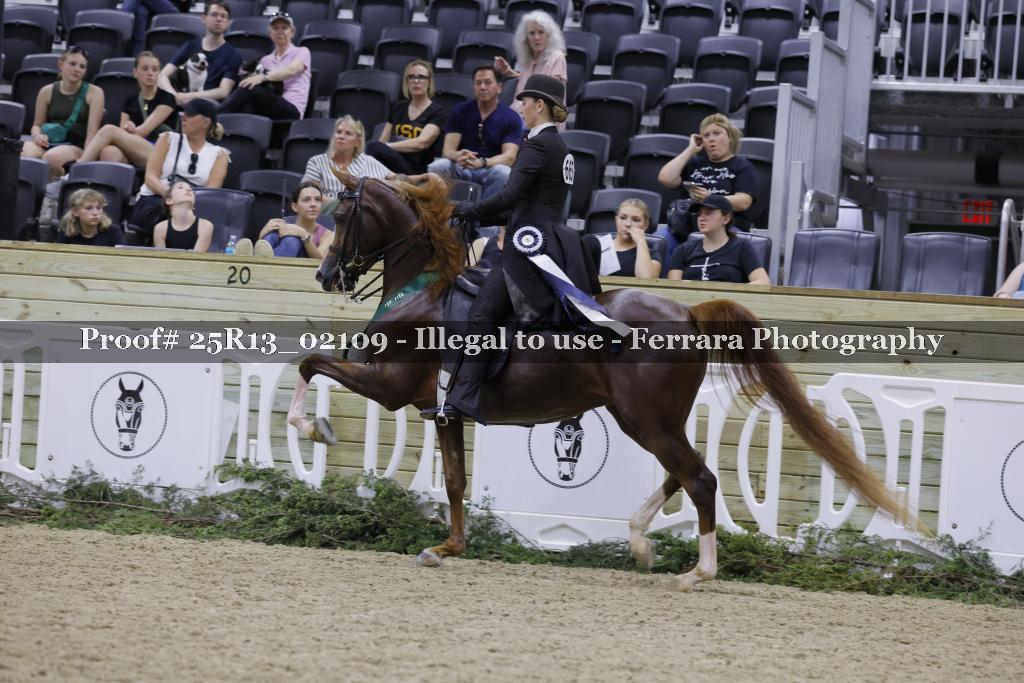 Proof 25R13_02109